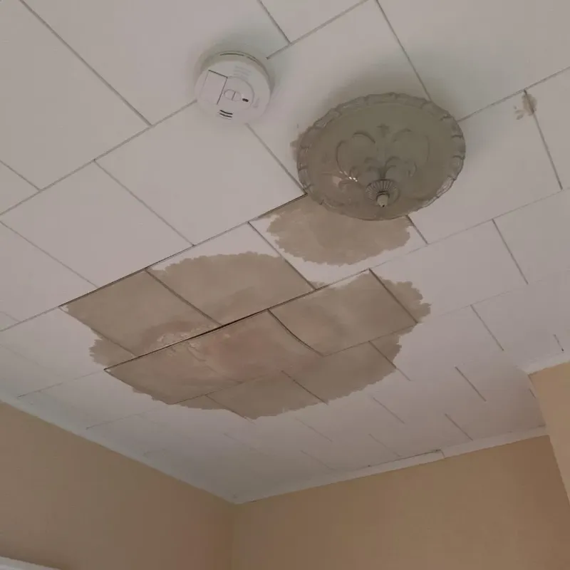 Ceiling Water Damage Repair in Chautauqua County, NY