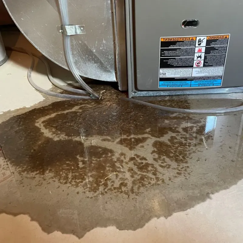Pipe Burst and Leak Restoration in Chautauqua County, NY