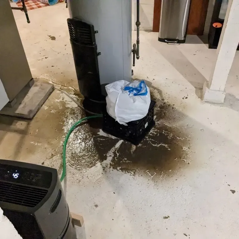 Sewage Backup Cleanup Service in Chautauqua County, NY